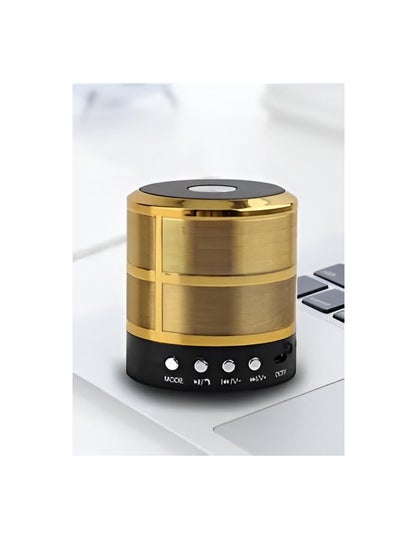 اشتري Mini Portable Music Speaker (WS-887) - Wireless Bluetooth Connection (5W) (Gold) في مصر