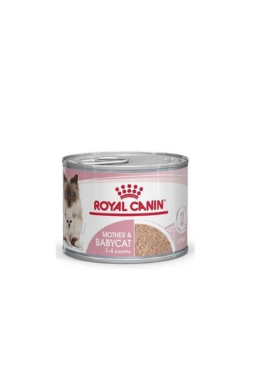 Buy Mother and Babycat Mousse in UAE