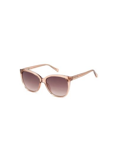 Buy Women's UV Protection Square Sunglasses - Fos 3147/G/S Nude 56 - Lens Size: 56 Mm in UAE