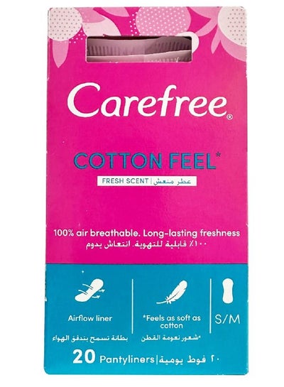 Buy Carefree Cotton Feel sngle wrappd fresh Scent Pack of 20 in UAE