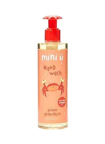 Buy Golden Grapefruit Hand Wash in UAE