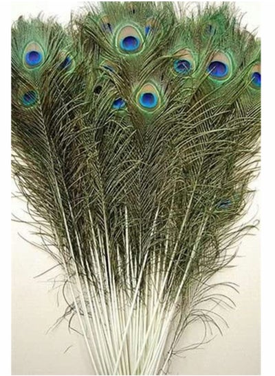 Buy Natural Peacock Feathers, 10 to 12-Inch Eyed Peacock Tail Feathers, DIY Craft Decoration for Weddings, Costumes – Set of 30 Peacock Feathers in Saudi Arabia