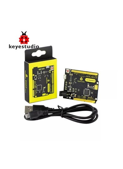 Buy ATmega32U4 leonardo R3 development board +1M Micro USB Cable For DIY Project in UAE