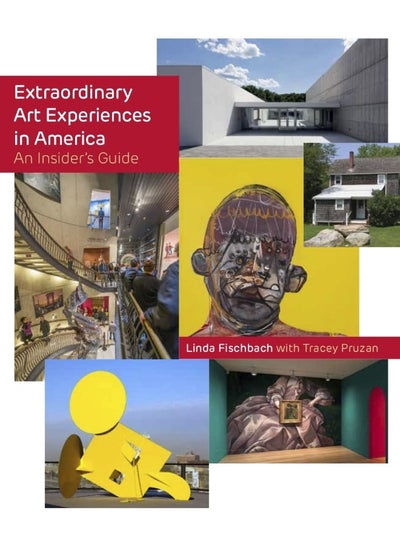 اشتري Extraordinary Art Experiences in America: An Insider's Guide في الامارات