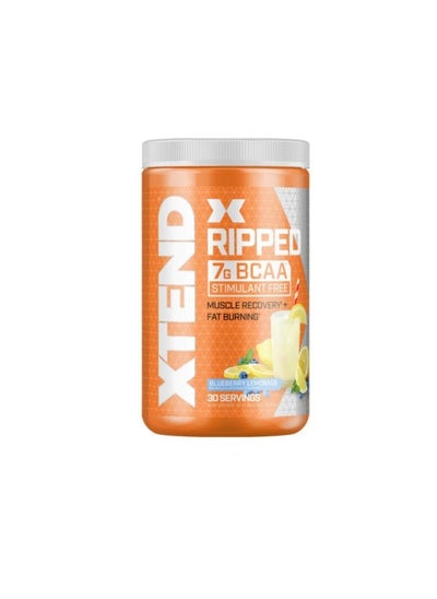 Buy Xtend Ripped 7G BCAA Stimulant Free, Muscle Recovery + Fat Burning, Blueberry Lemonade Flavor, 30 Servings in UAE