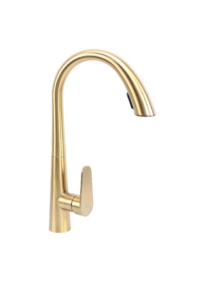 Buy Elegant and Modern Design Stainless Steel Kitchen Mixer Brushed Gold 30.5 x 10.4 x 26 cm JS-K087BG in Saudi Arabia