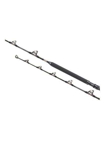 Buy Shimano Tyrnos Trolling 30 LBS in UAE