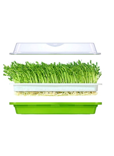 Buy Seedling Trays, Seed Germination Tray, Seed Sprouter Tray, BPA Free Nursery Tray, Sprouting Kit for Wheatgrass Soybean Mung Hydroponics Nursery Planting for Garden Home Office 1 pcs in UAE
