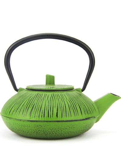 Buy Durable Coated with Enamel Interior Cast Iron Teapot with Stainless Steel Infuser for Brewing Loose Tea Leaf 0.5 Liter Green in UAE