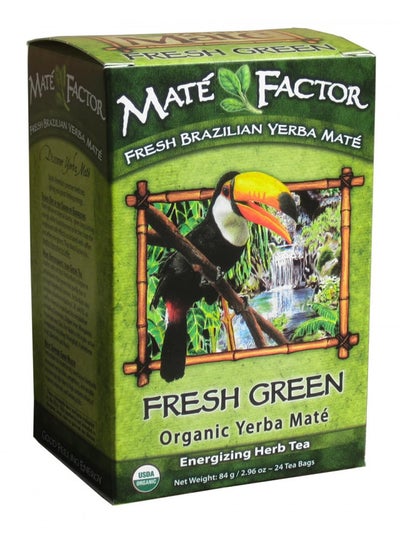 Buy Yerba Mate Energizing Herb Tea Bag, Organic Fresh Green, 24-Count Box in UAE