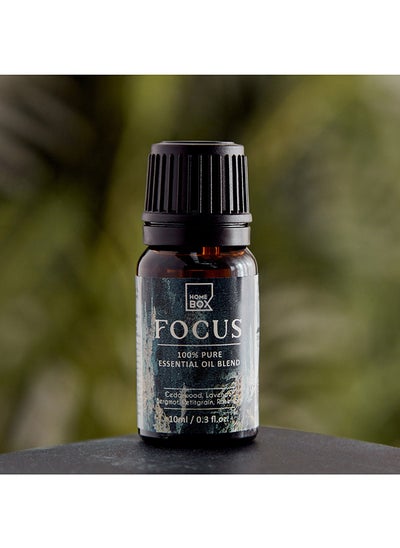 Buy Nourish Focus Pure Essential Oil 10 ml in UAE