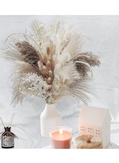 Buy Natural Dried Pampas Grass, Boho Decor Fluffy White Pompous Grass Large Reed Bunny Tail Wheat Stalk Decorative Plumes Italian Ruscus in Saudi Arabia