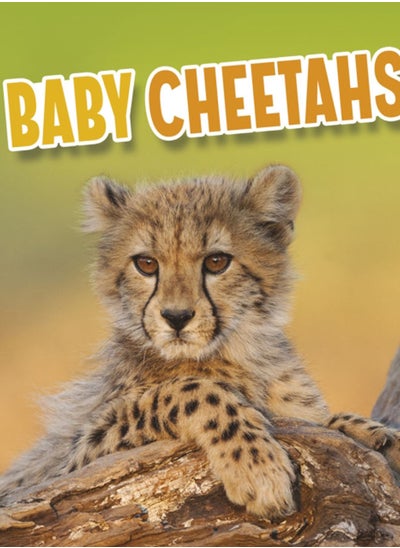 Buy Baby Cheetahs in UAE