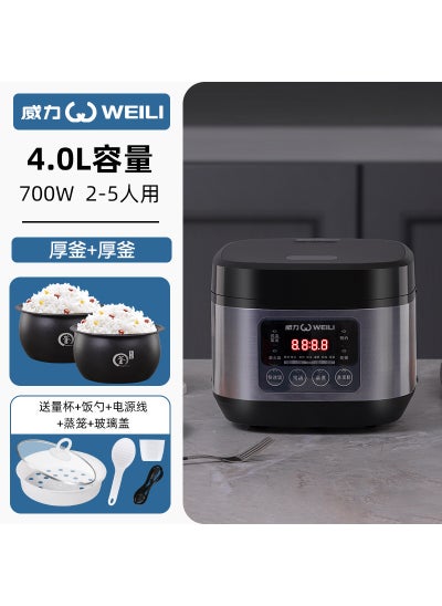 اشتري 3-5L Smart Rice Cooker 1-6 Person Non-Stick Power F1-Black and Blue-4L Spherical Kettle Spherical Kettle-Double Bile في الامارات