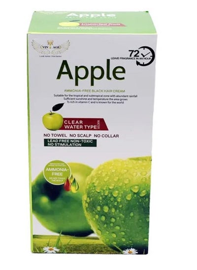 Buy Apple Black Hair Color Shampoo 1000ml in UAE