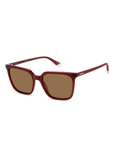 اشتري Women's Polarized Rectangular Shape  Sunglasses Pld 4163/S Gold 44 - Lens Size: 44 Mm - Burgundy في السعودية