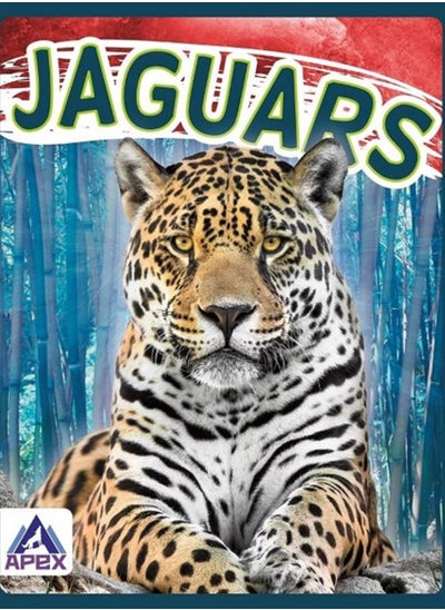 Buy Wild Cats: Jaguars in Saudi Arabia