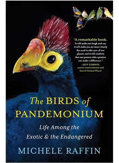 Buy The Birds of Pandemonium in UAE