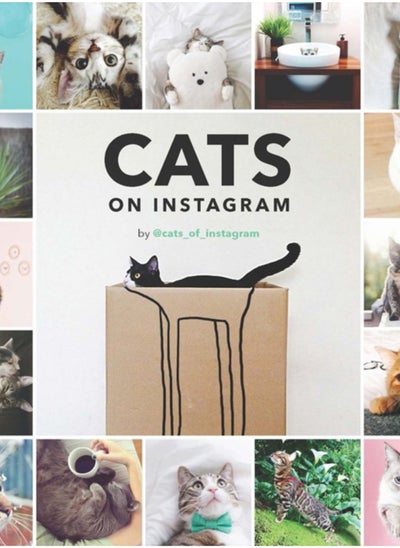 Buy Cats On Instagram in UAE