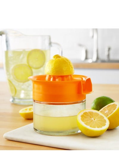 Buy Citrus Juicer Easy Screw Top Glass and Plastic Dishwasher Safe Orange in UAE