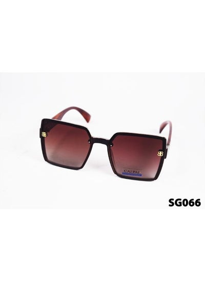 Buy Generic men  sunglasses Sg66 in Egypt