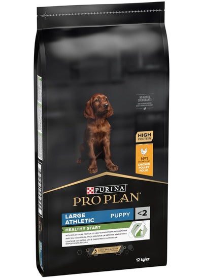 Buy Pro Plan Healthy Start Large Athletic Puppy Food with Chicken 12 kg in UAE