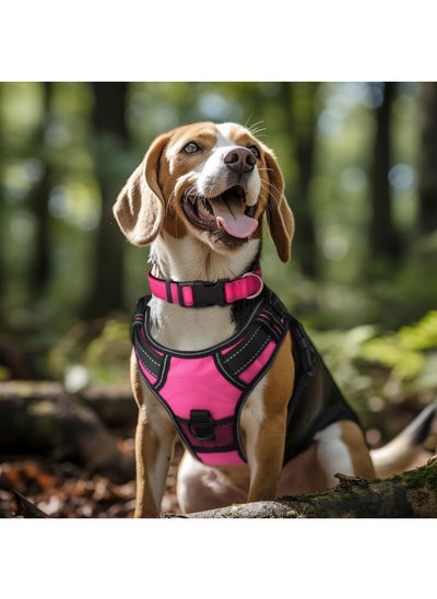 اشتري Joytale Reflective Dog Collar,Soft Neoprene Padded Breathable Nylon Pet Collar Adjustable for Large Dogs,Hotpink,L في الامارات