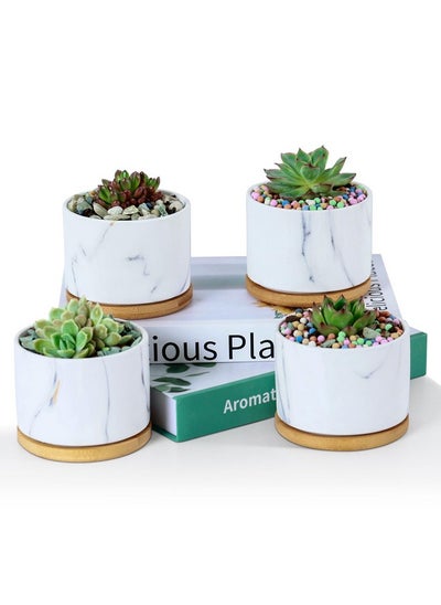 Buy 3.5 Inch Ceramic Pot Succulent Pots With Drainage Holes Pots For Succulents Indoor Terracotta Pots Set Of 4 Succulent Planters With Tray Shallow Planter Mini Pots For Plants in UAE