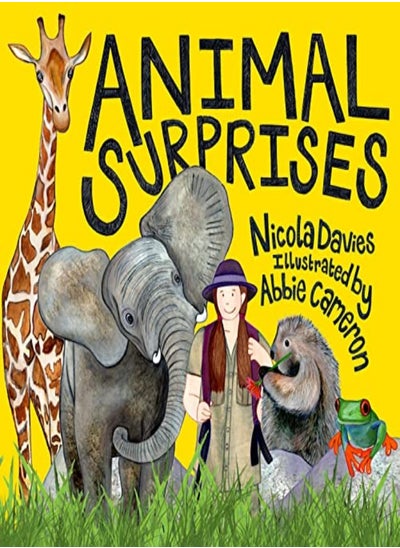 Buy Animal Surprises in UAE