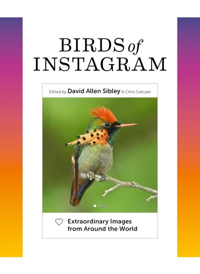 اشتري Birds of Instagram: Extraordinary Images from Around the World في الامارات