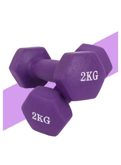 Buy 2kg Dumbbell Weight Exercise 2KGgX2 - Purple in UAE