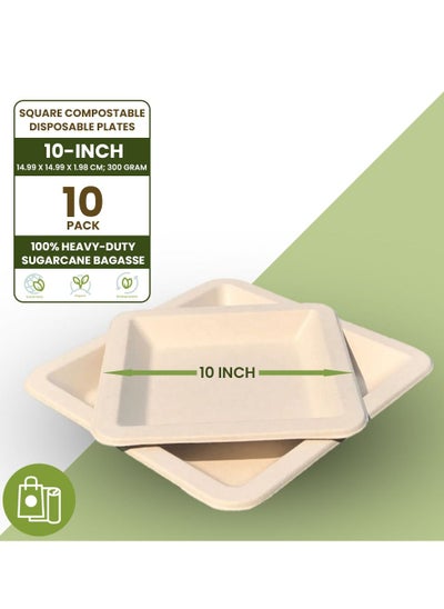 Buy Ecoway [10 Inch - Pack Of 10] Disposable Plates Made With Bagasse Sugar Canes Microwave & Freeze Safe, Compostable & Biodegradable Dinner Plates, Everyday Tableware Strong & Large White in UAE