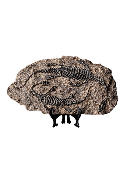 Buy Resin Fossil Dinosaur Statue Model Simulated Dinosaur Skeleton Fossil Model for Home Office Decorative Craft Decoration in Saudi Arabia