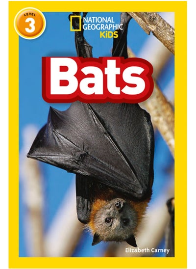 Buy Bats : Level 3 in UAE