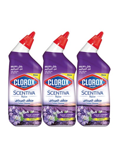 Buy Toilet Cleaner Lavender Scent Pack Of 3 in UAE