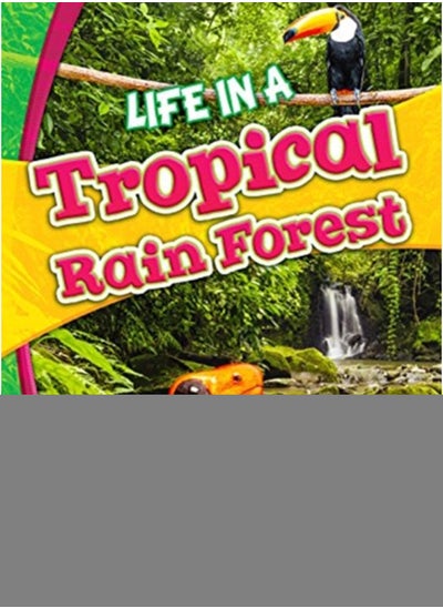 Buy Life in a Tropical Rain Forest in UAE