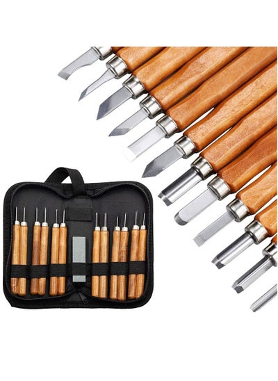 Buy Wood Carving Tools 12 PCS with Grindstones Precision Carving Craft Knife Hobby Knife, Art Knife Stainless Steel Blades for Cutting Carving Scrapbooking Stencil DIY Project Fruit Vegetable in UAE