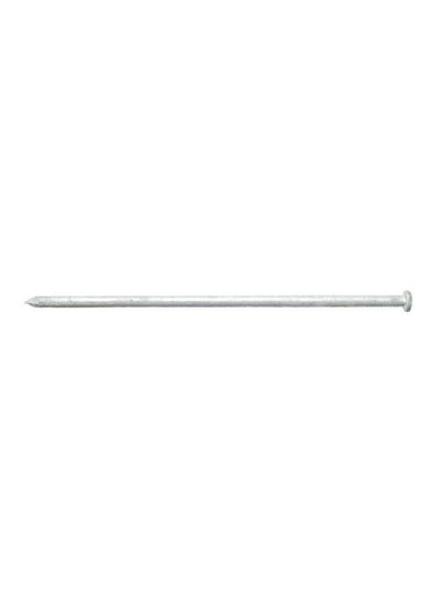 Buy Diamond Point Flat Head Hot-Dipped Galvanized Steel Spike Nail Silver 8 Inch 5188644 in Saudi Arabia