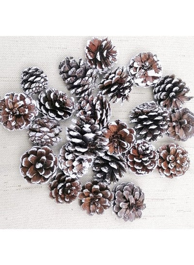 Buy 18 Pcs Christmas Natural Pine Cones Christmas Decoration in Egypt