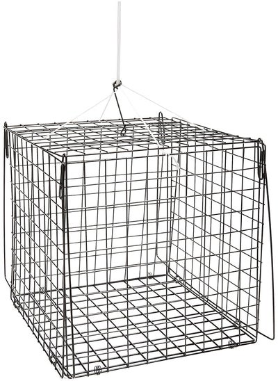 Buy HURRICANE SOUTH BEND F210 Hr Crab Trap Sq 10.5X10.5X10.5, Multi, One Size in UAE