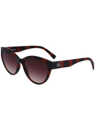 Buy Lacoste  L983S 240 55 Women's Sunglasses in UAE