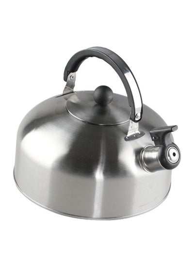 Buy Bister Whistling Tea Kettle Light Weight Size 2.5 Liter Silver in Saudi Arabia