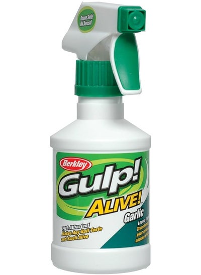 Buy Berkley Gulp! Alive! Fishing Attractant Spray in UAE