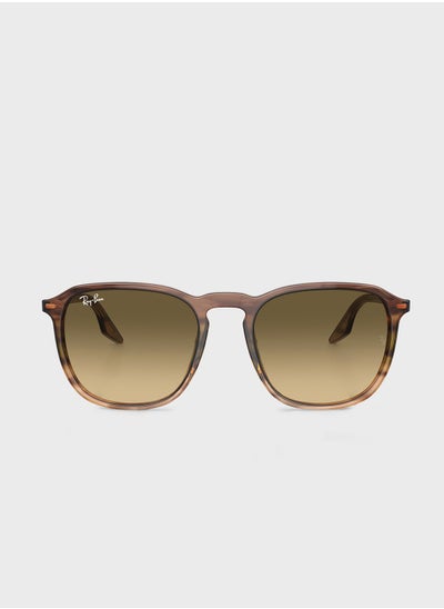 Buy 0Rb2203 Wayfarers Sunglasses in Saudi Arabia