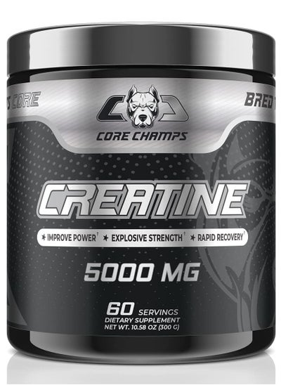 Buy Core Champs Creatine 5000mg 300g Unflavored 60 Servings in UAE