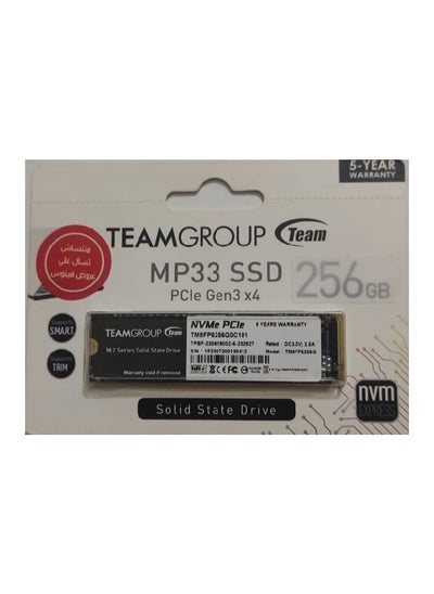 Buy Team group 256 SSD  MP33 256GB NVMe in Egypt