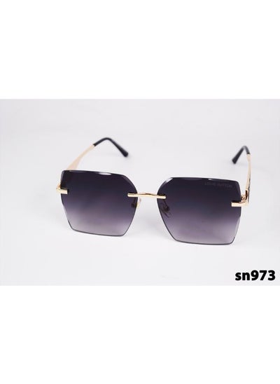 Buy Generic Women Sunglasses inspired by Louis VUITTON sn973 in Egypt