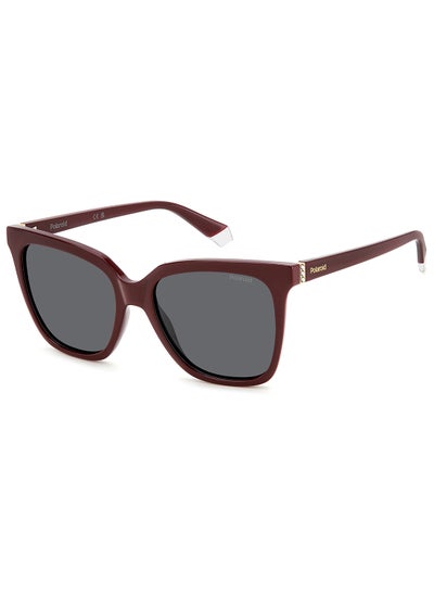 اشتري Women's Polarized Square Sunglasses - Pld 4155/S/X White Millimeter - Lens Size: 55 Mm في الامارات