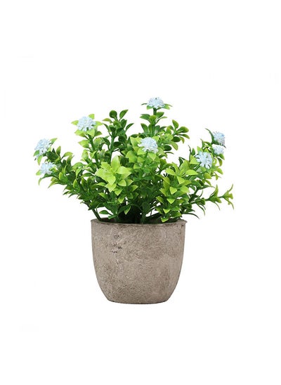 Buy Gypsophila Potted Flower 13cm Green in UAE