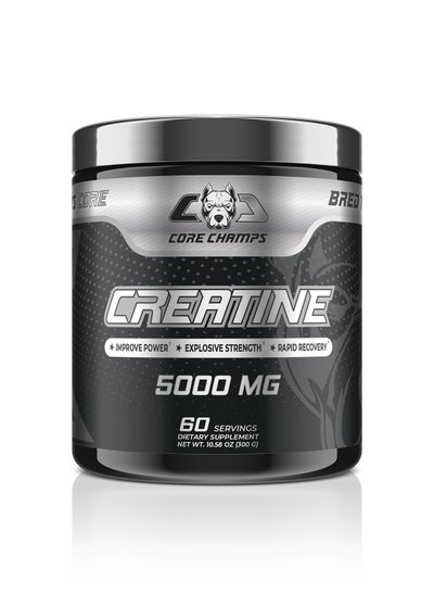 Buy Creatine 5000 Mg 300 Grams 60 Servings in UAE